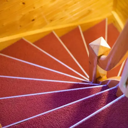 بيت ضيافة Mayer بليد